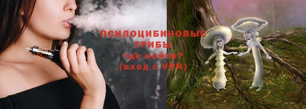 соль ск Верхний Тагил