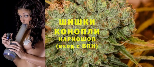соль ск Верхний Тагил