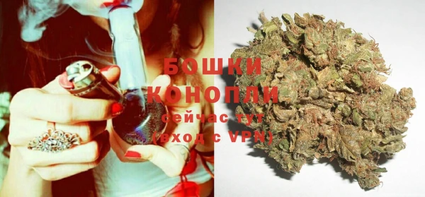соль ск Верхний Тагил