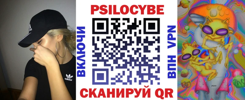 Псилоцибиновые грибы Psilocybine cubensis  Канск 