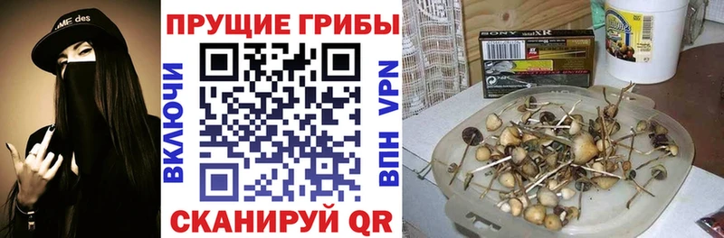 Галлюциногенные грибы GOLDEN TEACHER Канск